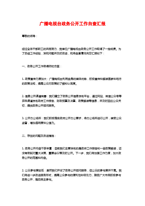 广播电视台政务公开工作自查汇报