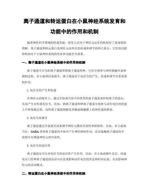 离子通道和转运蛋白在小鼠神经系统发育和功能中的作用和机制