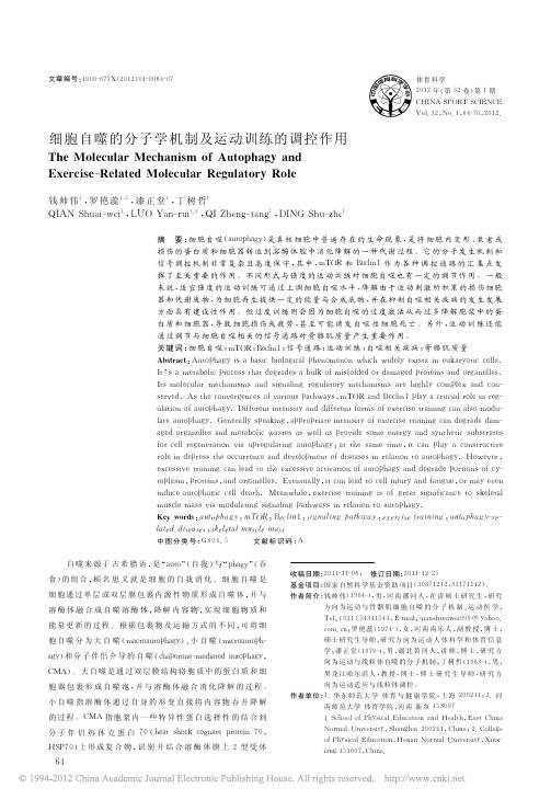 细胞自噬的分子学机制及运动训练的调控作用_钱帅伟