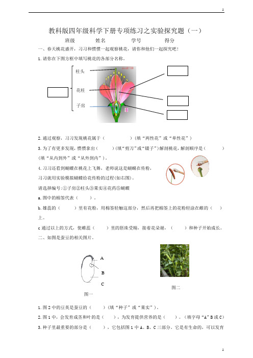 教科版小学科学新四年级下册科学专项练习之实验探究题(一)(含答案)