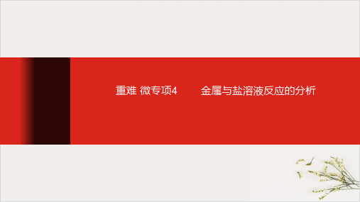 中考化学专题复习PPT金属与盐溶液反应的分析精品课件