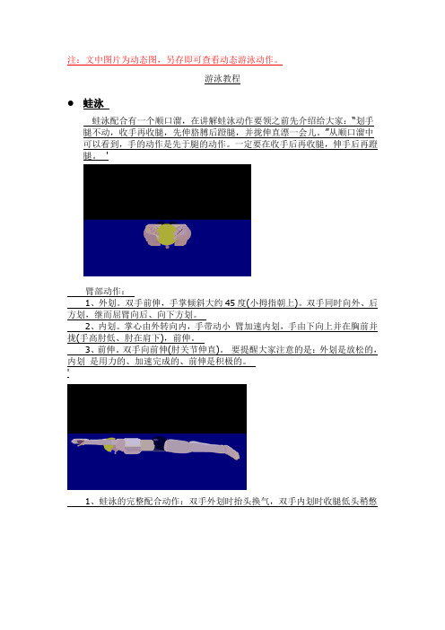 四种经典姿势游泳动态图教程(蛙泳自由泳仰泳蝶泳)