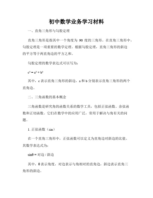 初中数学业务学习材料