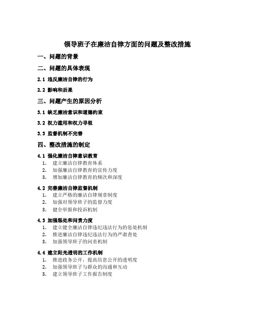 领导班子在廉洁自律方面的问题及整改措施