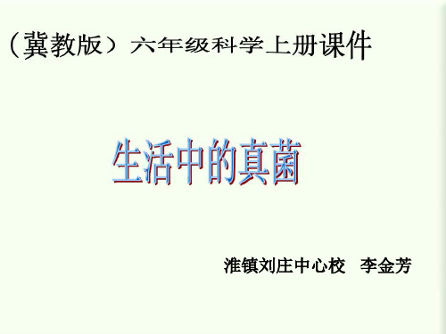 小学科学冀人版六年级上册《6生活中的真菌》课件公开课(12)