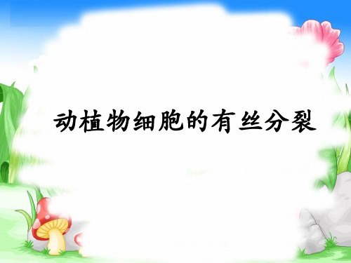 高三生物一轮复习---动植物细胞的有丝分裂教学课件共25张ppt