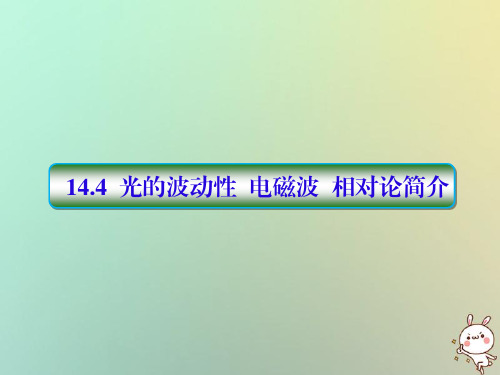 2019届高考物理一轮复习第十四单元选考部分14_4光的波动性电磁波相对论简介配套课件新人教版选修3_4