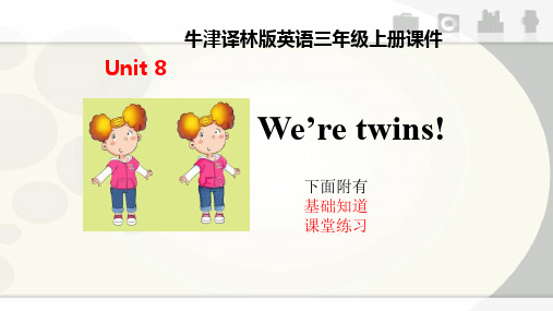 牛津译林版英语三年级下册课件unit8 We're twins 课件汇总习题总汇