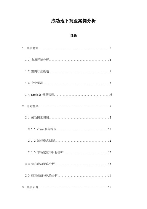 成功地下商业案例分析