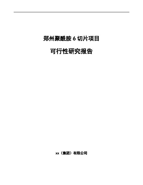 郑州聚酰胺6切片项目可行性研究报告模板范文