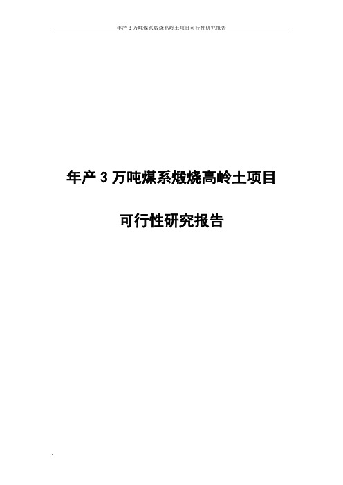 年产3万吨煤系煅烧高岭土项目可行性研究报告