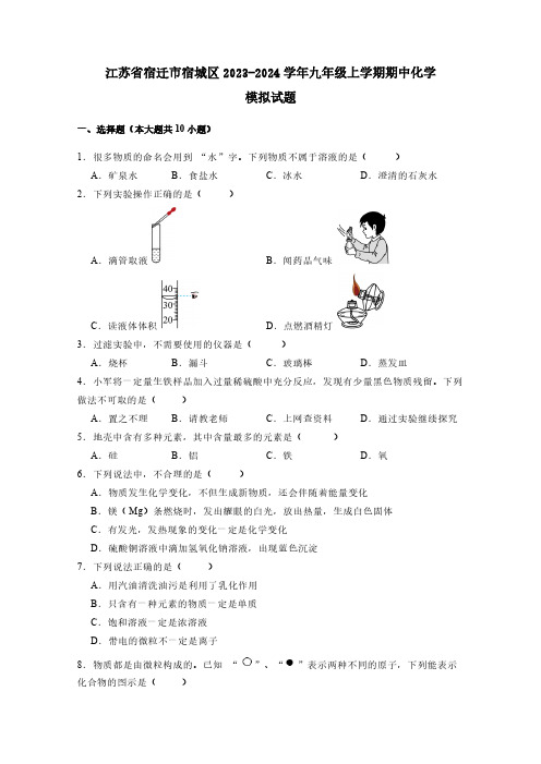 江苏省宿迁市宿城区2023-2024学年九年级上学期期中化学模拟试题(含答案)