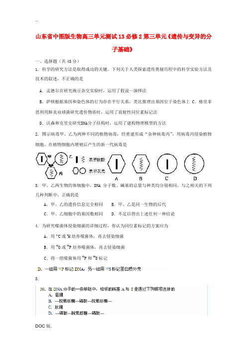 山东省2013届高考生物 第三单元《遗传与变异的分子基础》单元测试13 中图版必修2