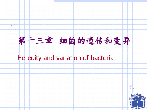 13细菌的遗传和变异PPT课件