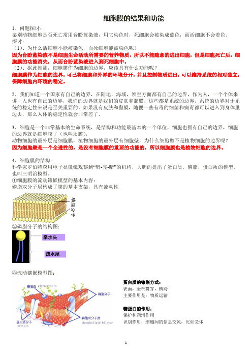 细胞膜的结构和功能