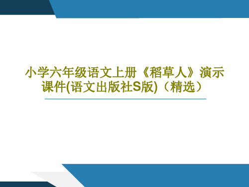 小学六年级语文上册《稻草人》演示课件(语文出版社S版)(精选)27页文档