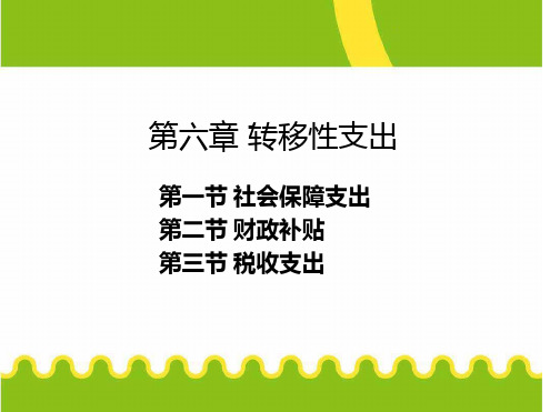 第六章转移性支出