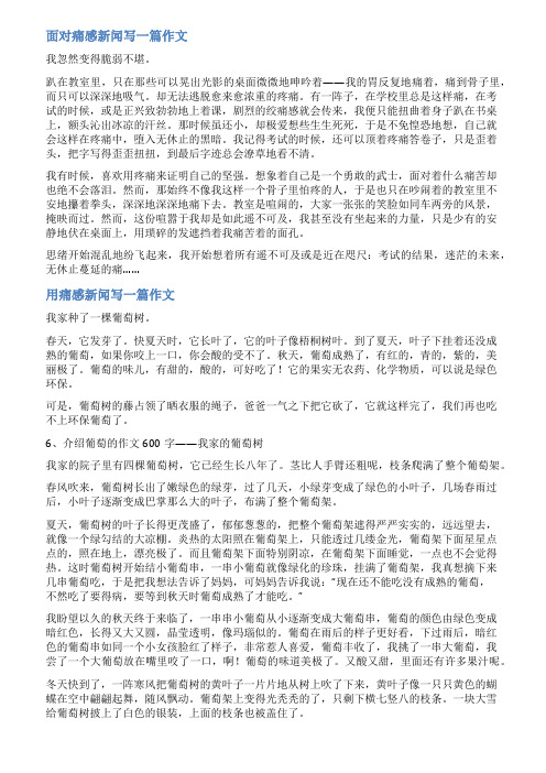 痛感新闻作文范文