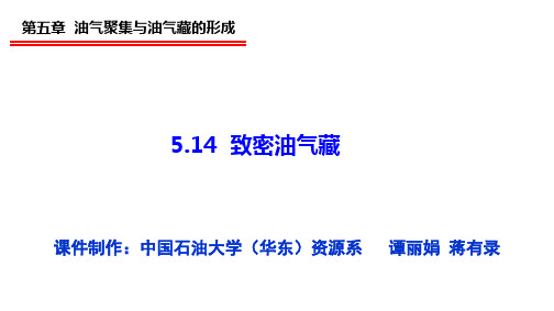 5.14 致密油气藏