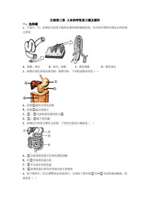 生物第三章 人体的呼吸复习题及解析