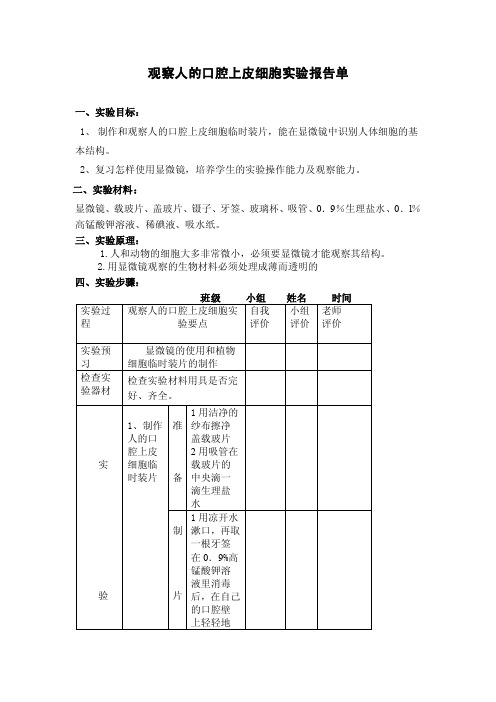 观察人的口腔上皮细胞实验报告单