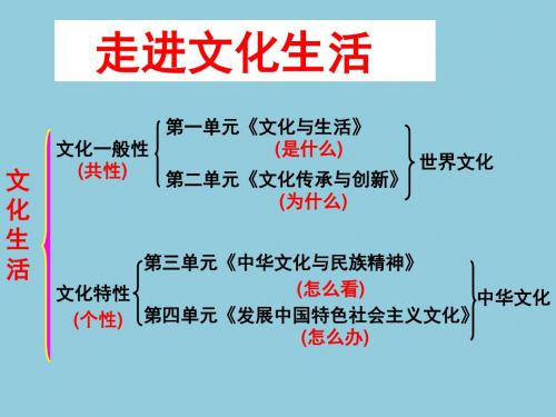 1.1.1体味文化课件(人教版必修3)