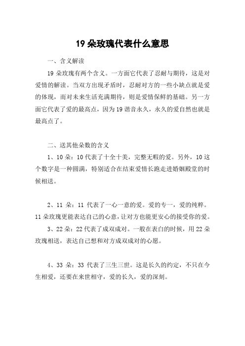 19朵玫瑰代表什么意思