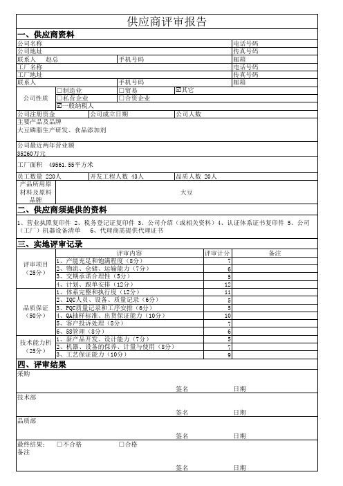 供应商评审报告