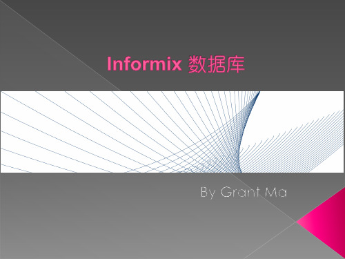 Informix竞争优势