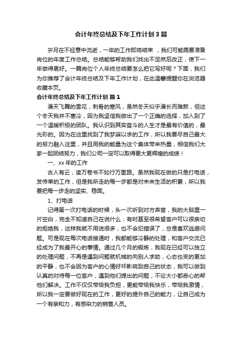 会计年终总结及下年工作计划3篇