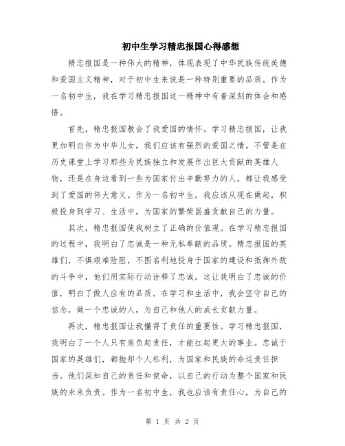 初中生学习精忠报国心得感想