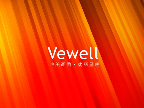 Vewell显示器介绍