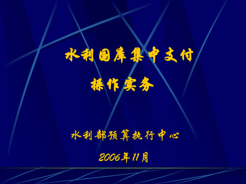 国库集中支付培训实务-PowerPoint演示文稿