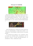 利用googleEarth绘制地形图教程