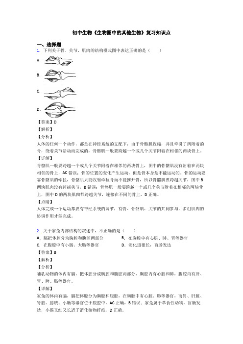 初中生物《生物圈中的其他生物》复习知识点