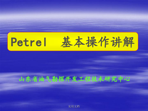 petrel软件详细教程