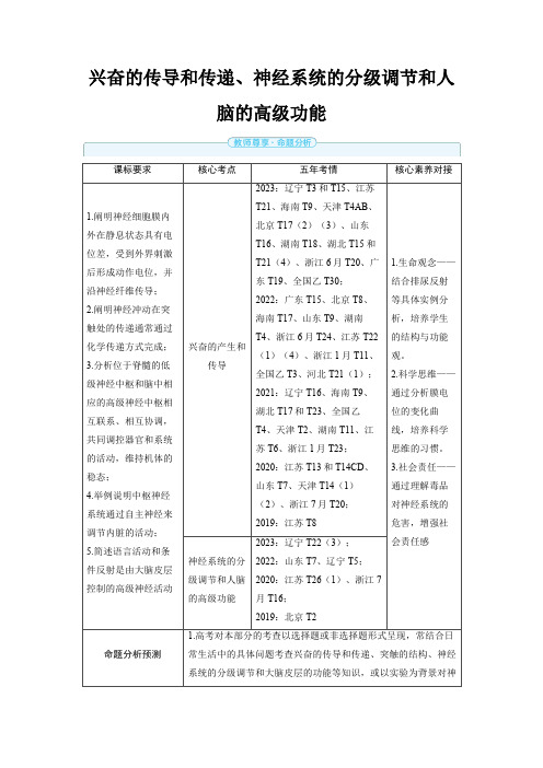 2025年高中生物高考精品备课教案：兴奋的传导和传递、神经系统的分级调节和人脑的高级功能