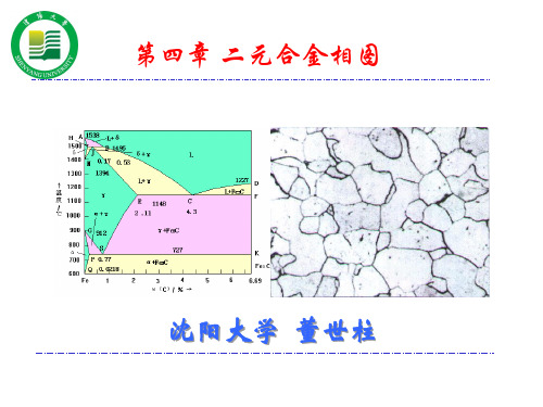 二元合金相图4