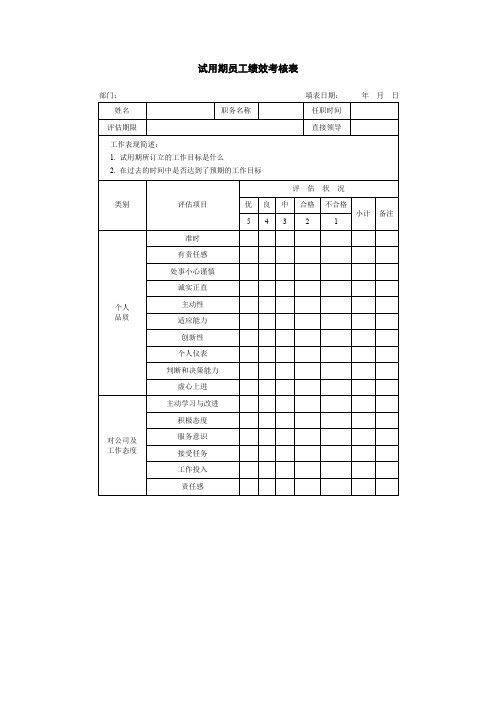 试用期员工绩效考核表
