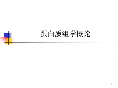 蛋白质组学-医学院研究生课程2014-概论