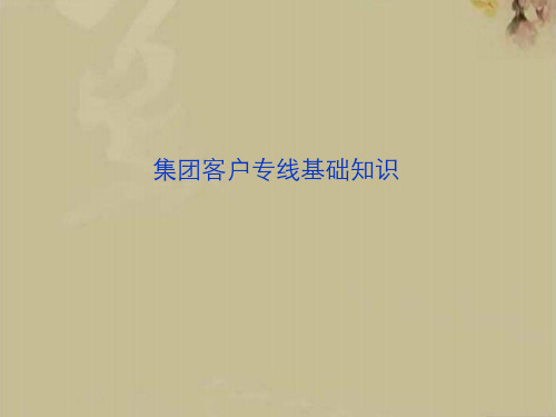 集团客户专线基础知识介绍