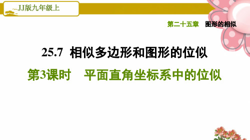 冀教版九年级数学上册《图形的相似》25.7.3平面直角坐标系中的位似