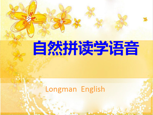 初高中英语衔接-- 自然拼读学语音课程课件(共80张PPT)