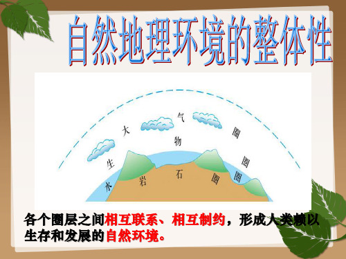 人教版高中地理必修一 5.1 自然地理环境整体性 课件 (共27张PPT)