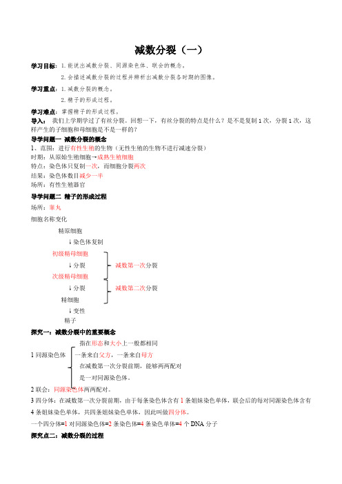 2.1.1减数分裂(第一课时)(导学案)