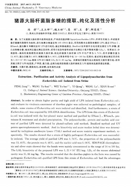 猪源大肠杆菌脂多糖的提取、纯化及活性分析