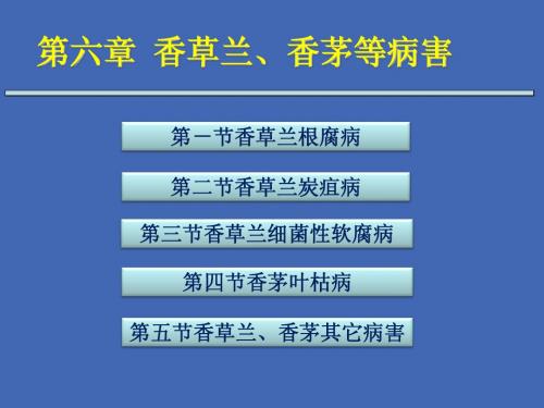 第六章香草兰、香茅等