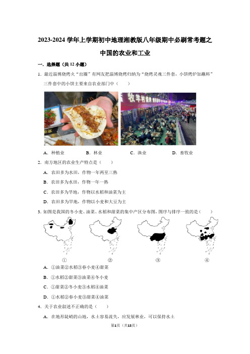 2023-2024学年上学期初中地理湘教版八年级期中必刷常考题之中国的农业和工业