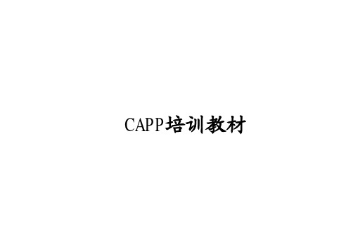 CAPP教程