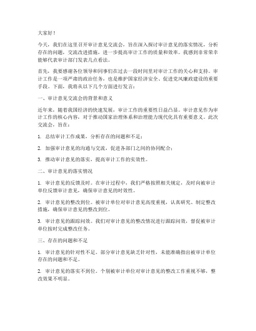 审计意见交流会发言稿范文